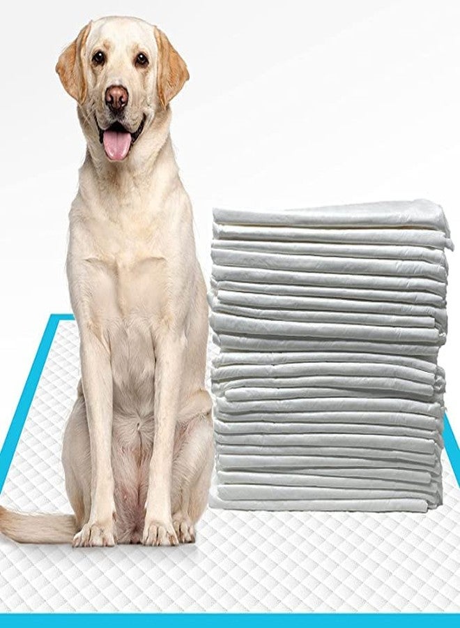 Pups&Pets Dog Training Pee and Potty Pads with Quick Drying Surface and Absorbent Core Suitable for - Image 1